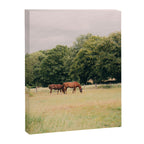 Cotswolds Horses in Rural Pasture Landscape Canvas Print Gallery Image 8