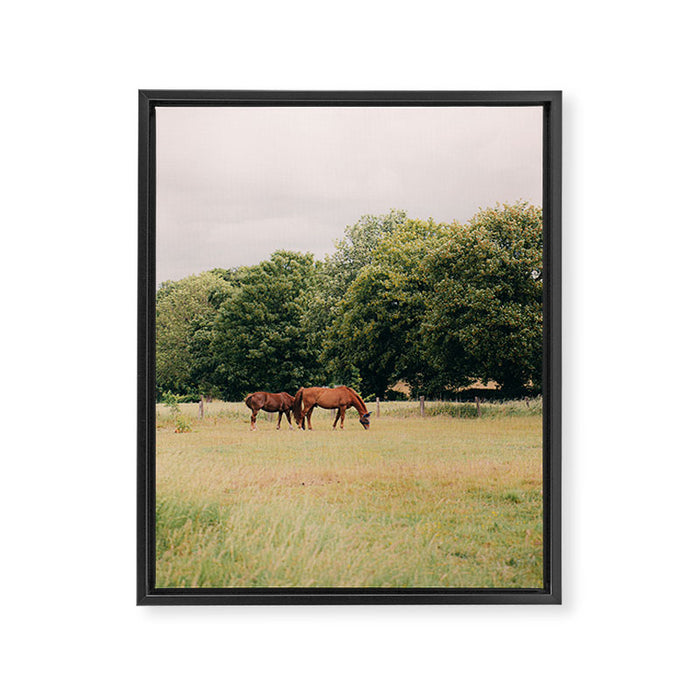 Cotswolds Horses in Rural Pasture Landscape Framed Canvas Print Gallery Image 1