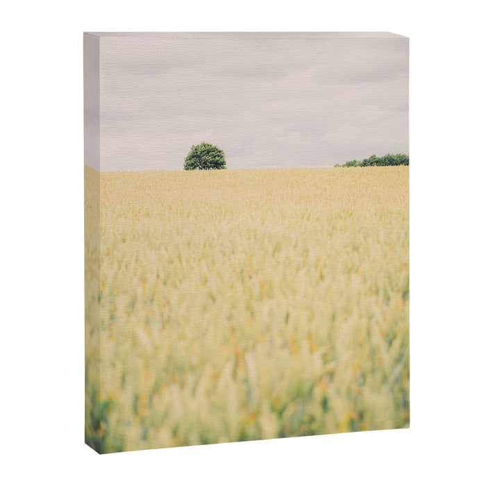 Rural Countryside Field Landscape With Tree Canvas Print Gallery Image 1