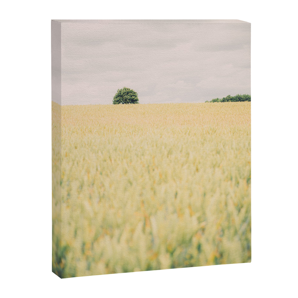 Rural Countryside Field Landscape With Tree Canvas Print Gallery Image 8