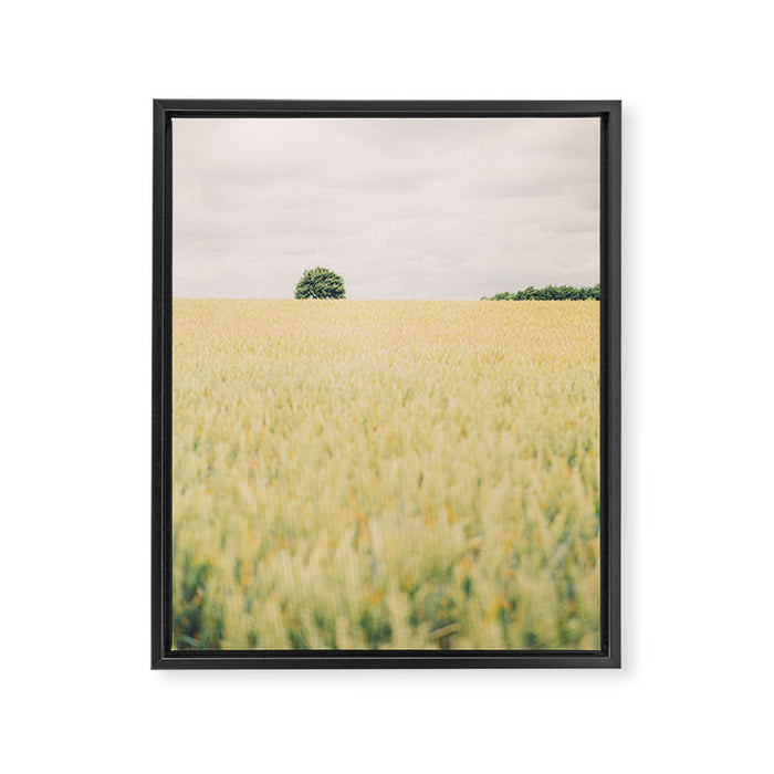 Rural Countryside Field Landscape With Tree Framed Canvas Print Gallery Image 1