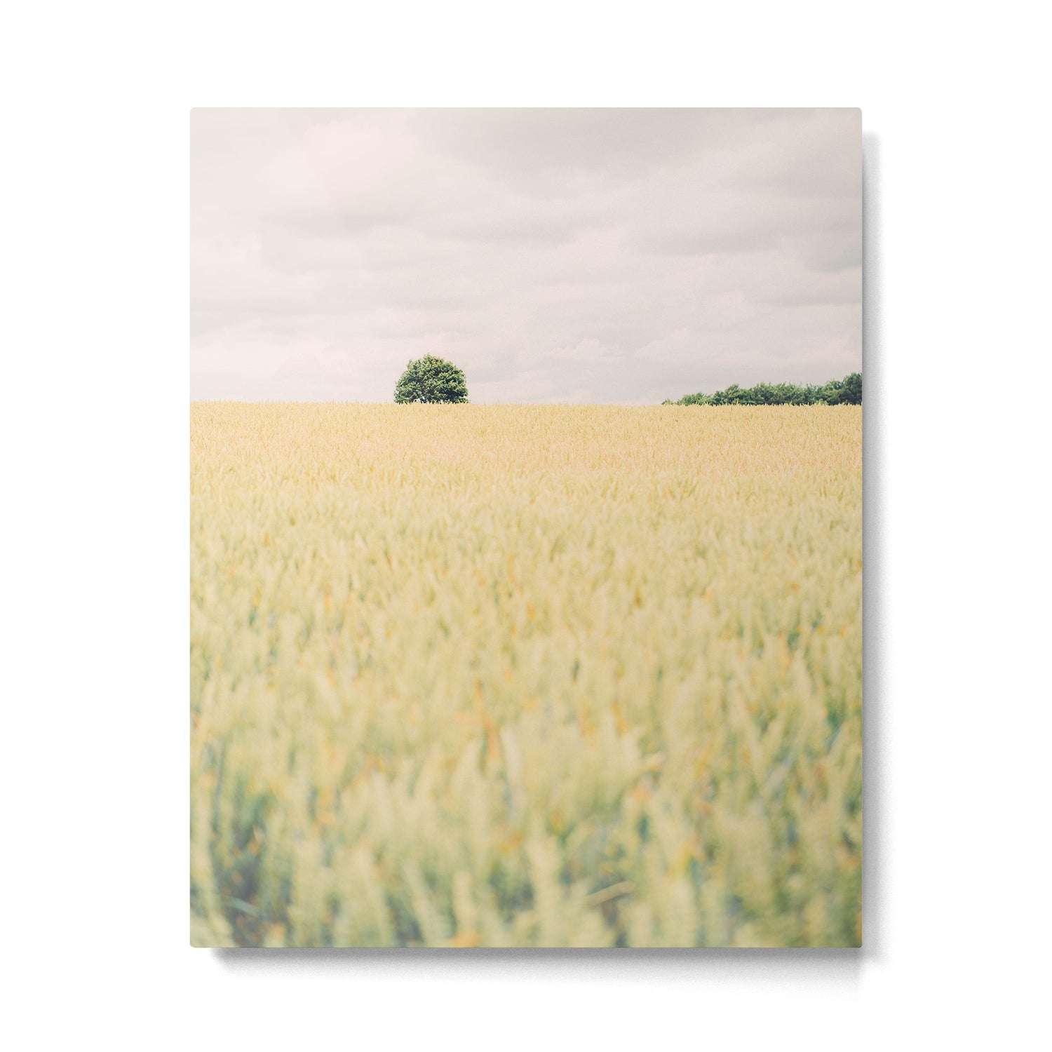 Rural Countryside Field Landscape With Tree Metal Print Gallery Image 6