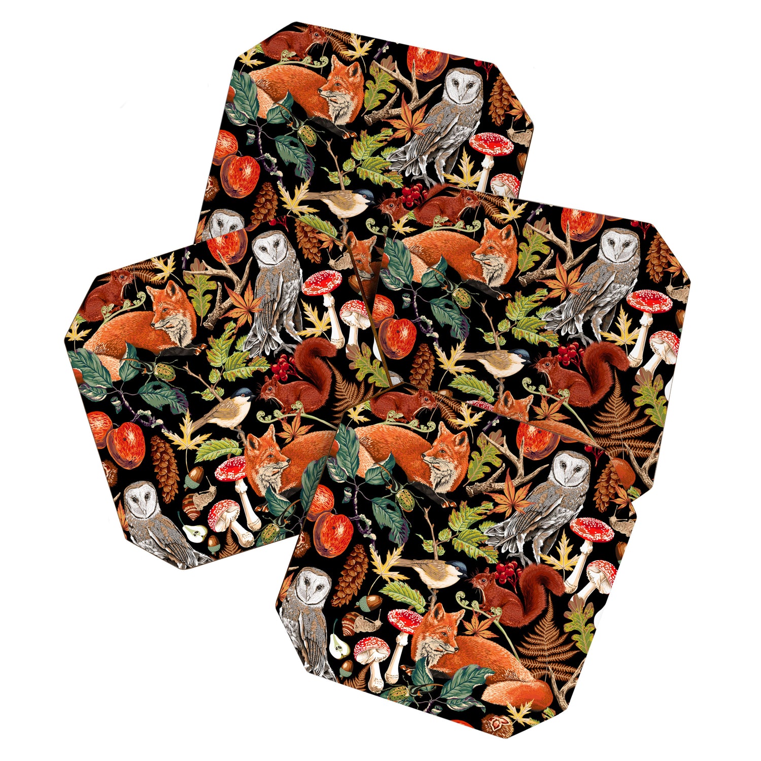 AUTUMN WOODLAND Coaster Gallery Image 1