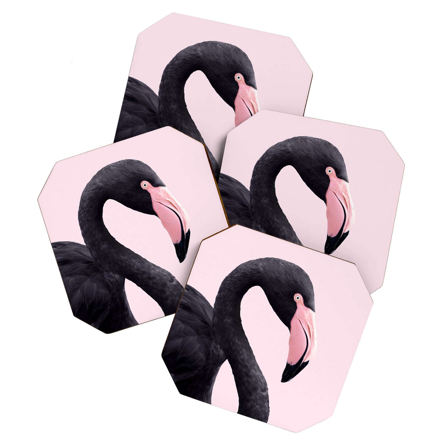 BLACK FLAMINGO Coaster Gallery Image 1