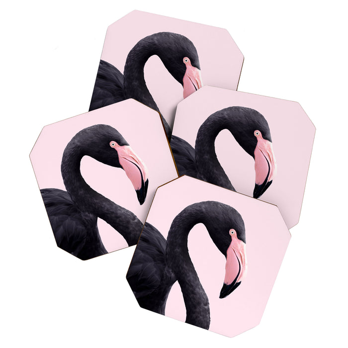 BLACK FLAMINGO Coaster Gallery Image 1