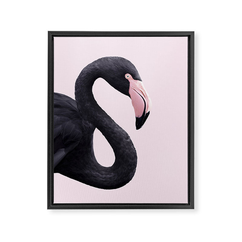 BLACK FLAMINGO Framed Canvas Print Gallery Image 8