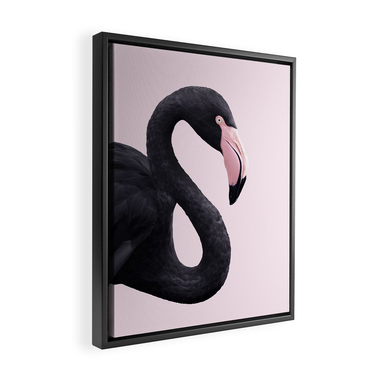 BLACK FLAMINGO Framed Canvas Print Gallery Image 2
