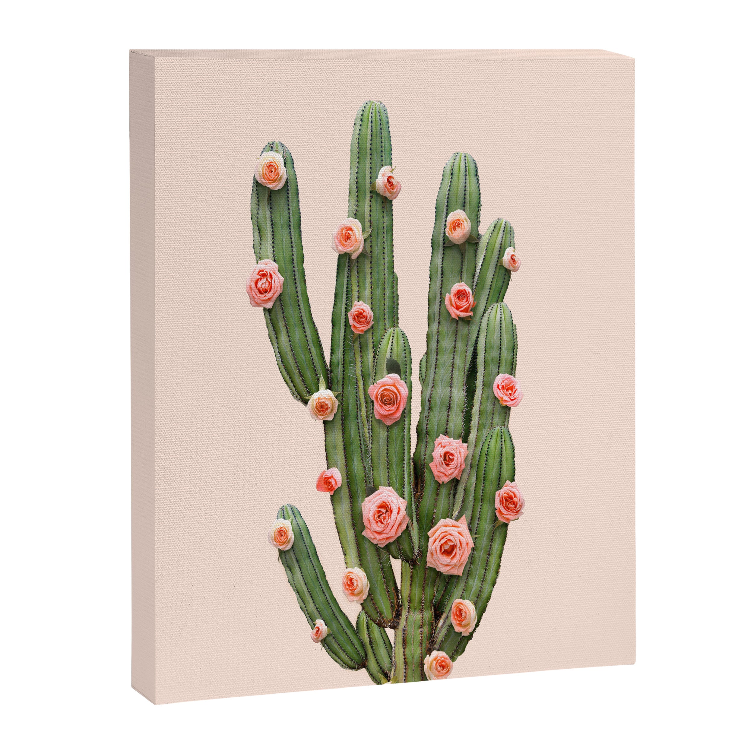 CACTUS AND ROSES Canvas Print Gallery Image 8
