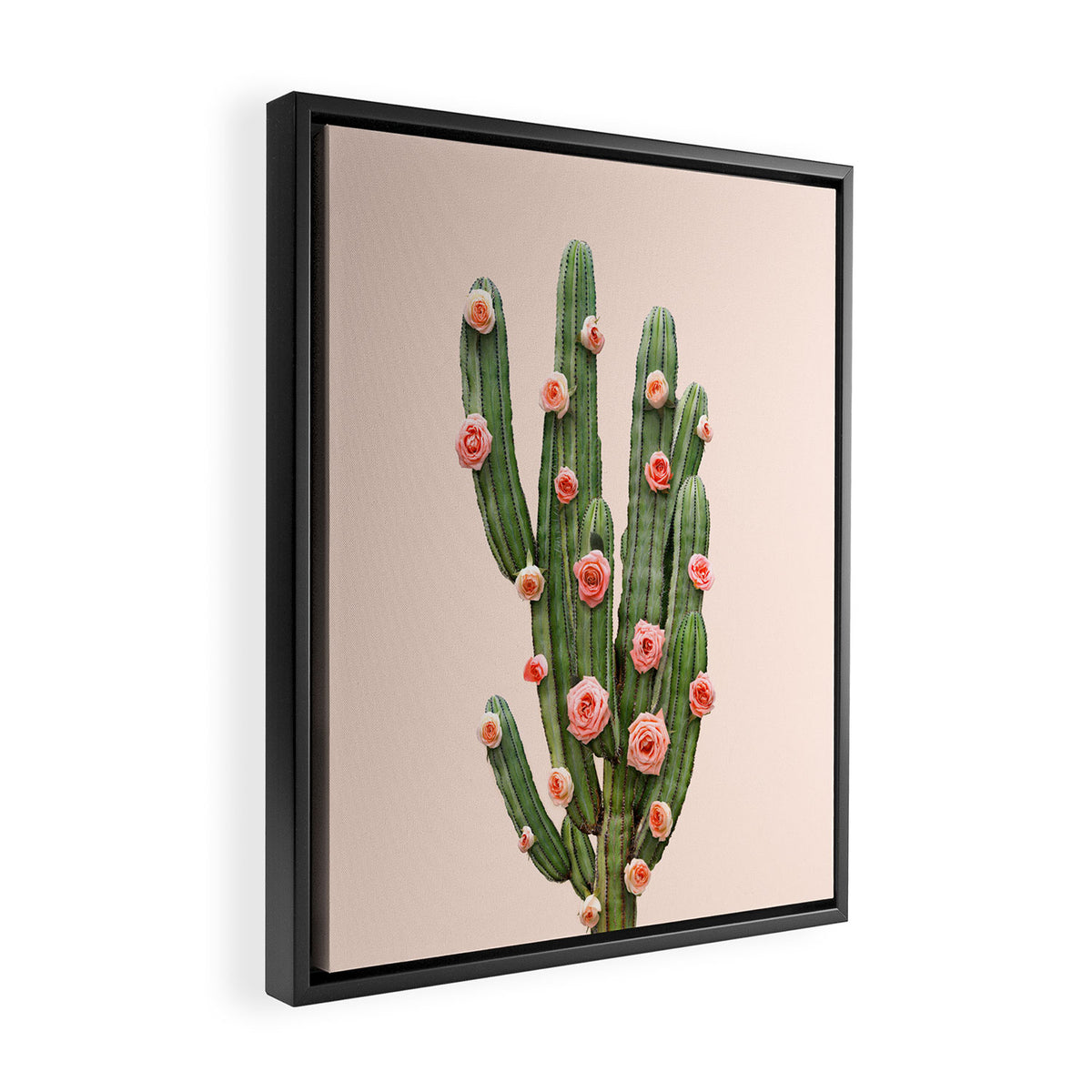 CACTUS AND ROSES Framed Canvas Print Gallery Image 2