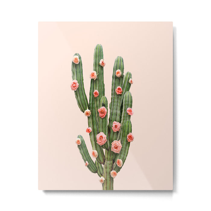 CACTUS AND ROSES Metal Print Gallery Image 1