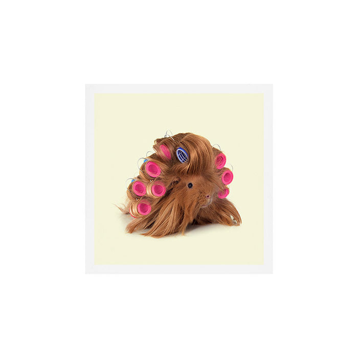CURLY GUINEA PIG Art Print Gallery Image 1