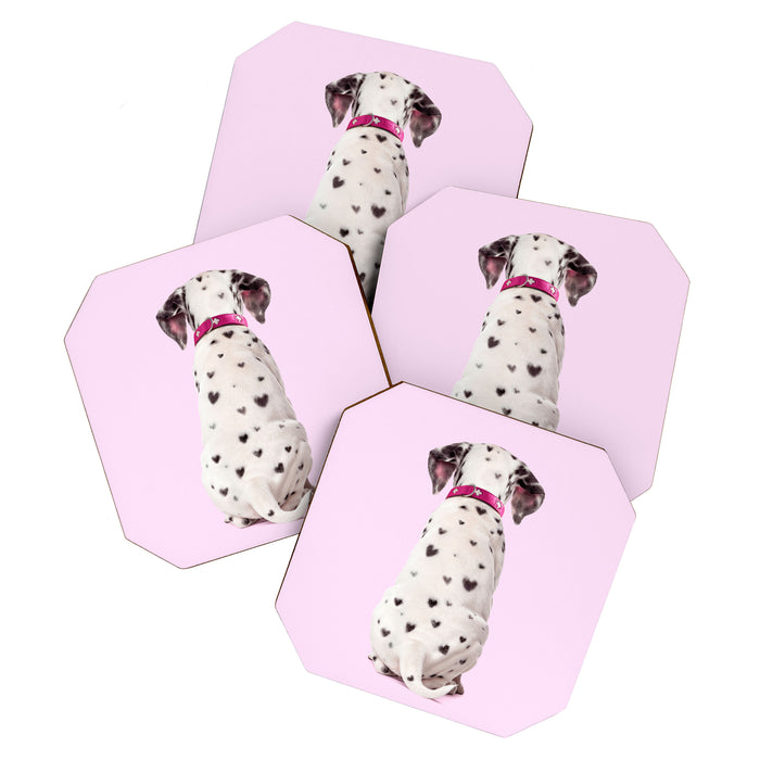 DALMATIAN Coaster Gallery Image 1