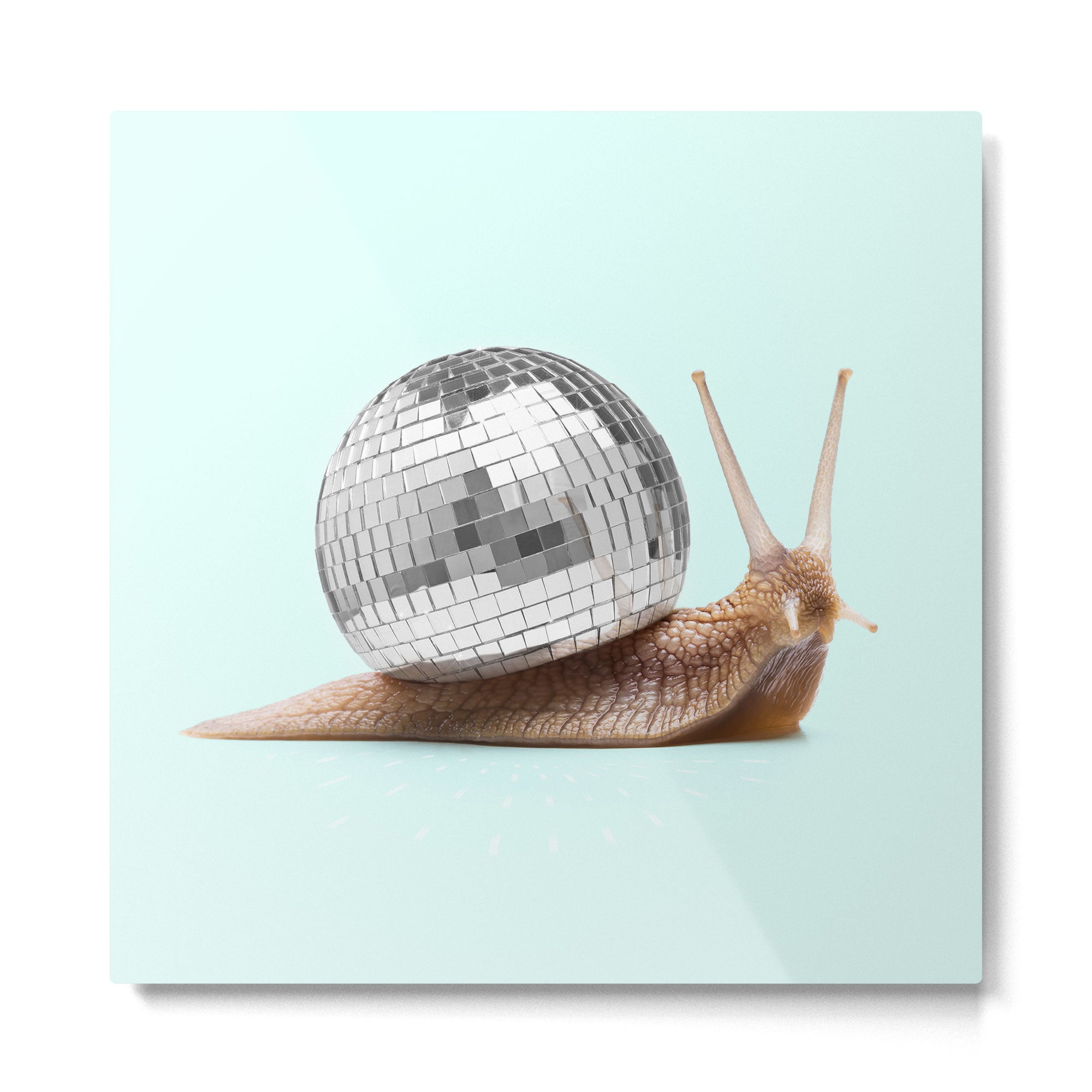DISCO SNAIL Metal Print Gallery Image 2