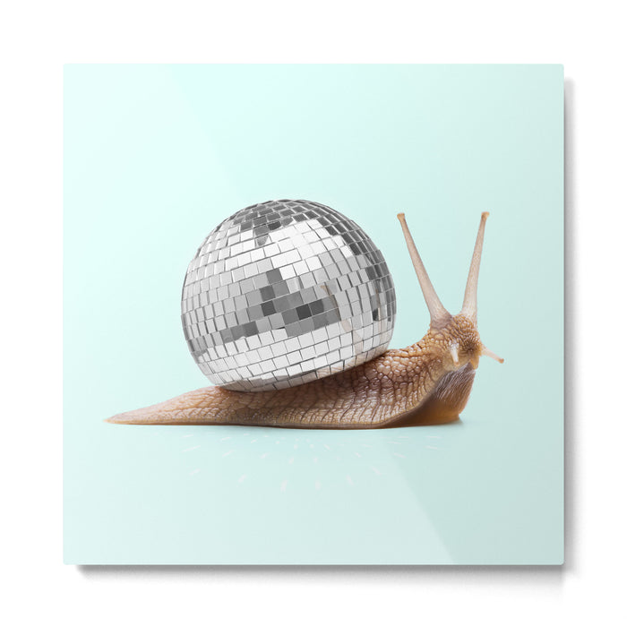 DISCO SNAIL Metal Print Gallery Image 1