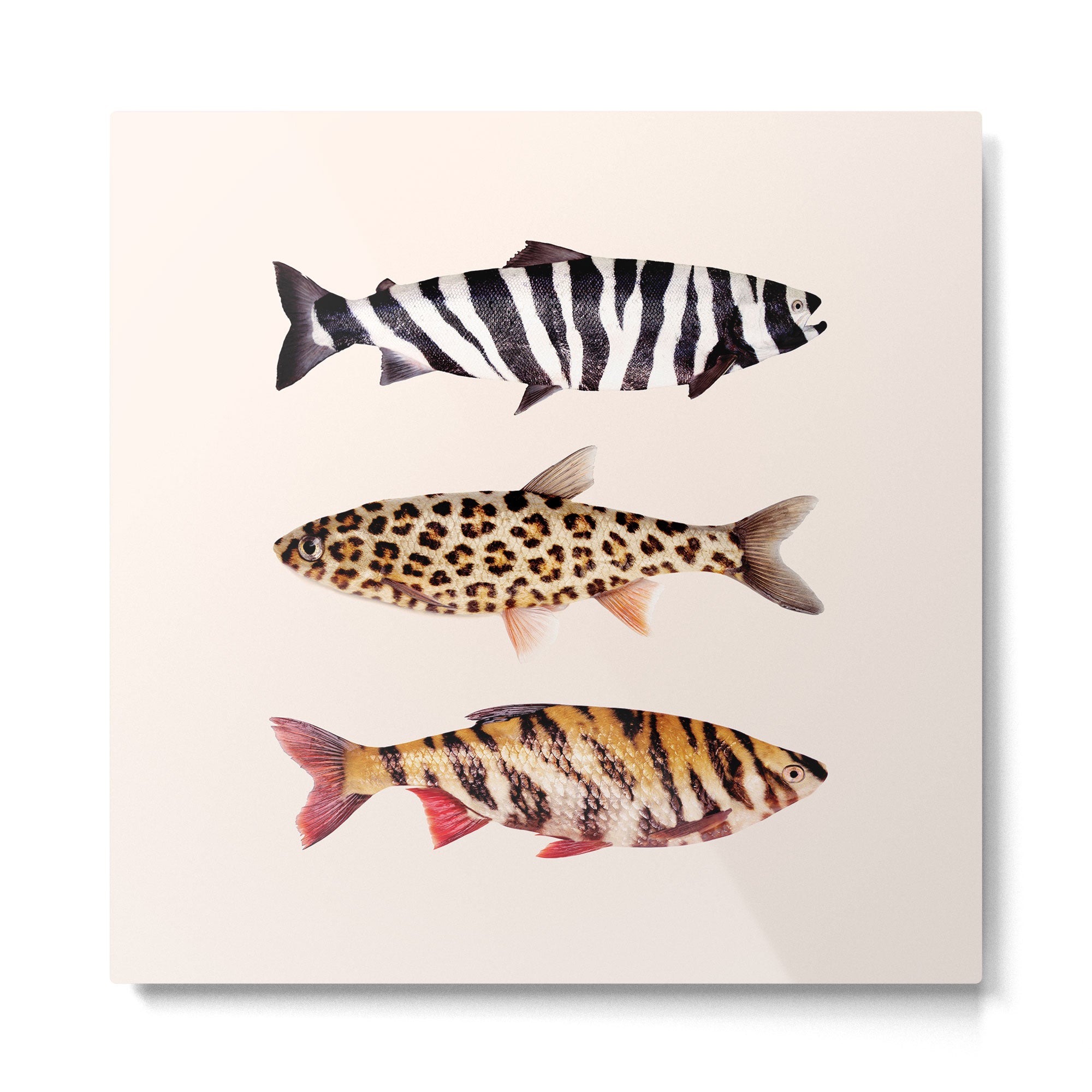FISH PRINTS Metal Print Gallery Image 2