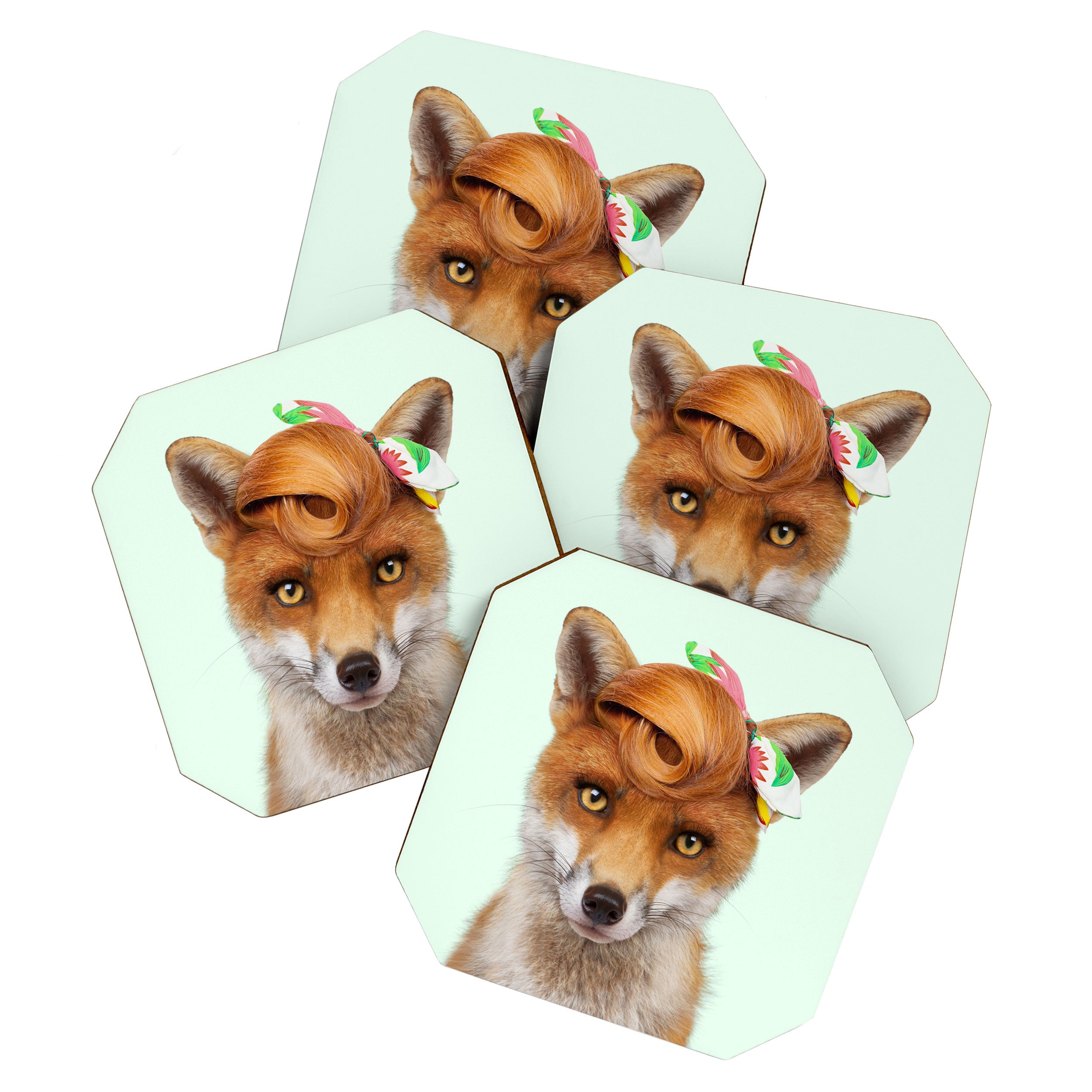 FOXY LADY Coaster Gallery Image 1