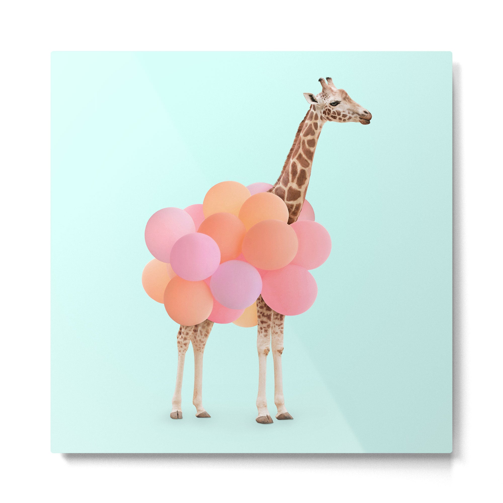 GIRAFFE PARTY Metal Print Gallery Image 2