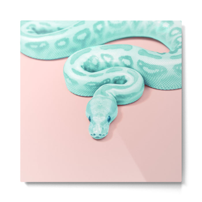 GREEN SNAKE Metal Print Gallery Image 1