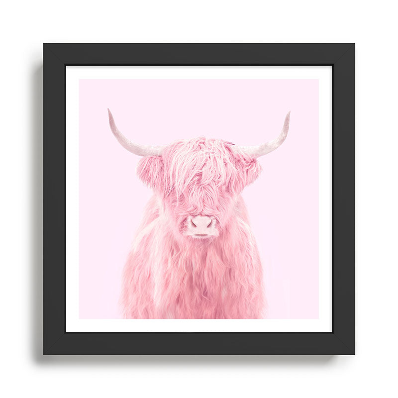 HIGHLAND COW Framed Art Print Gallery Image 1
