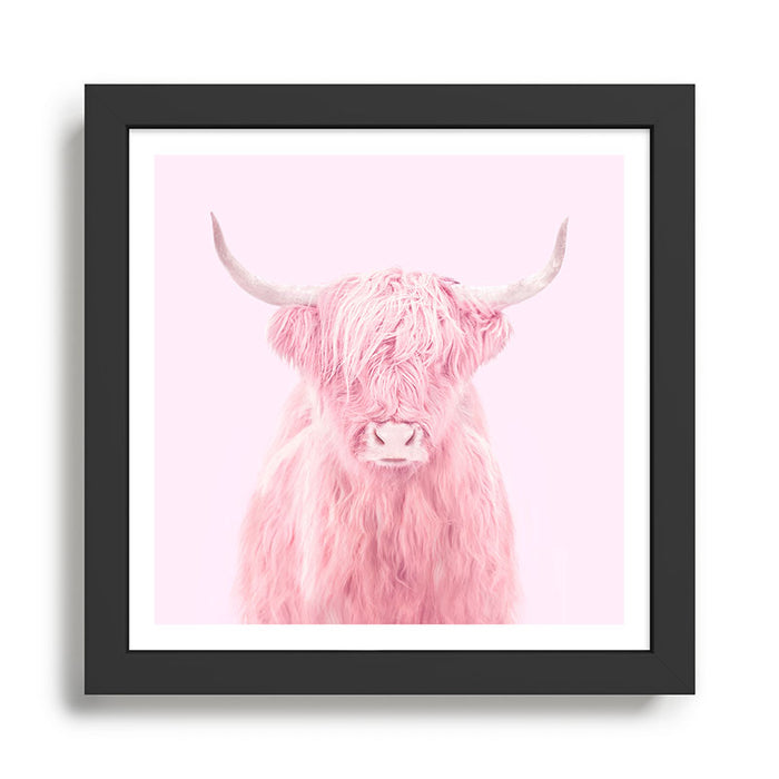 HIGHLAND COW Framed Art Print Gallery Image 1