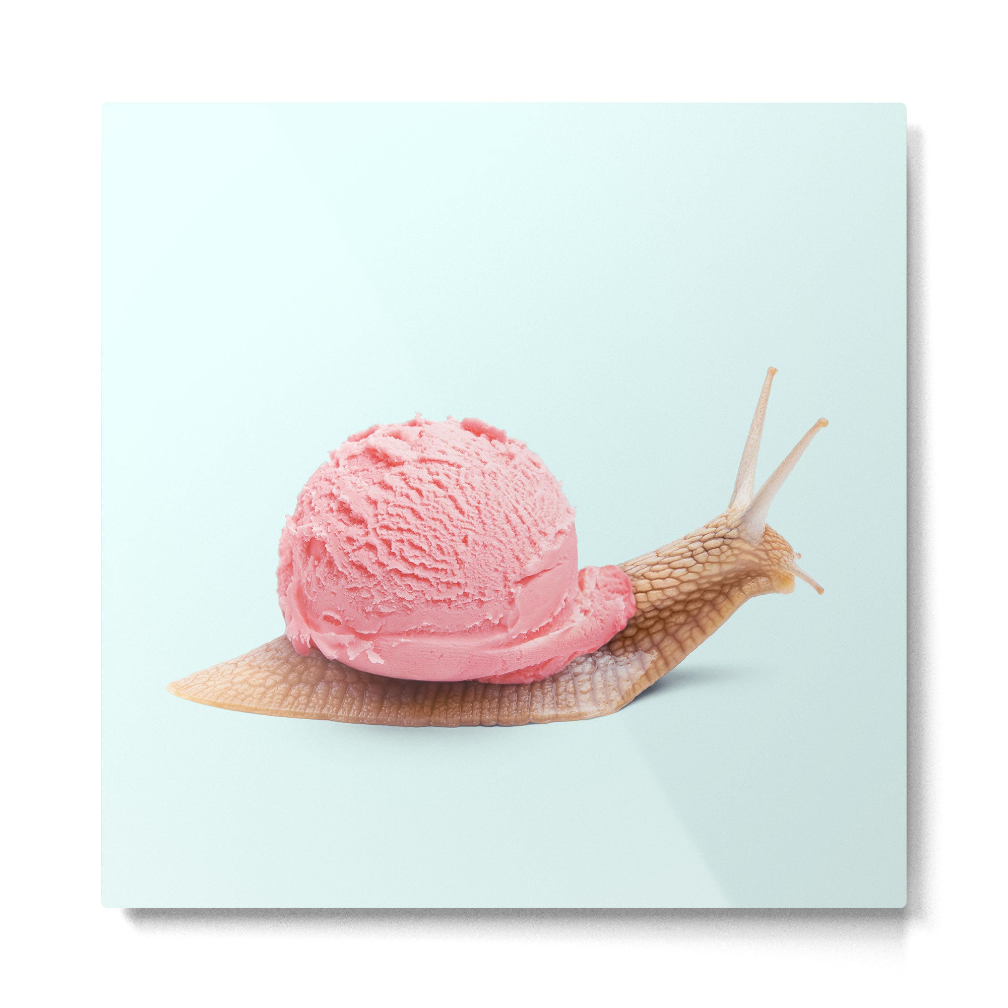 ICE SNAIL Metal Print Gallery Image 2