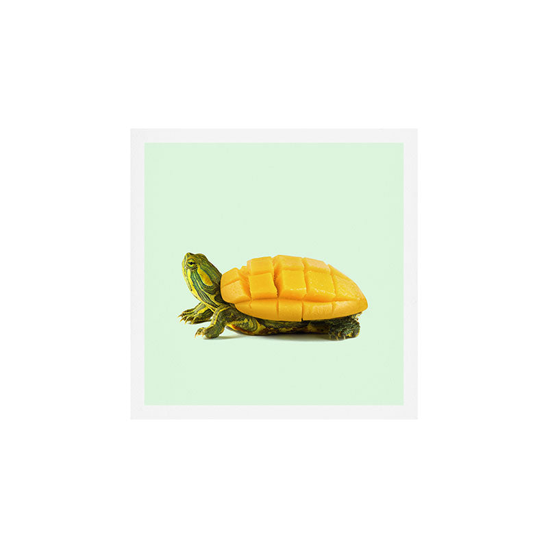 MANGO TURTLE Art Print Gallery Image 1