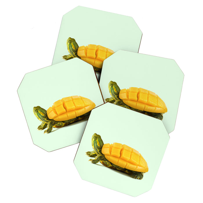 MANGO TURTLE Coaster Gallery Image 1