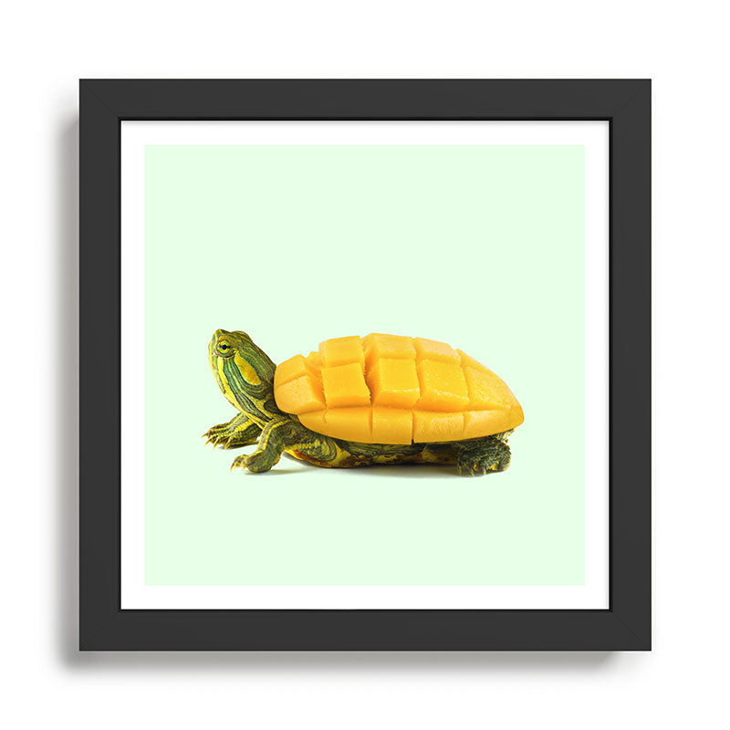 MANGO TURTLE Framed Art Print Gallery Image 1
