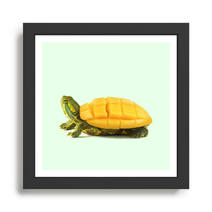 MANGO TURTLE Framed Art Print Gallery Image 1