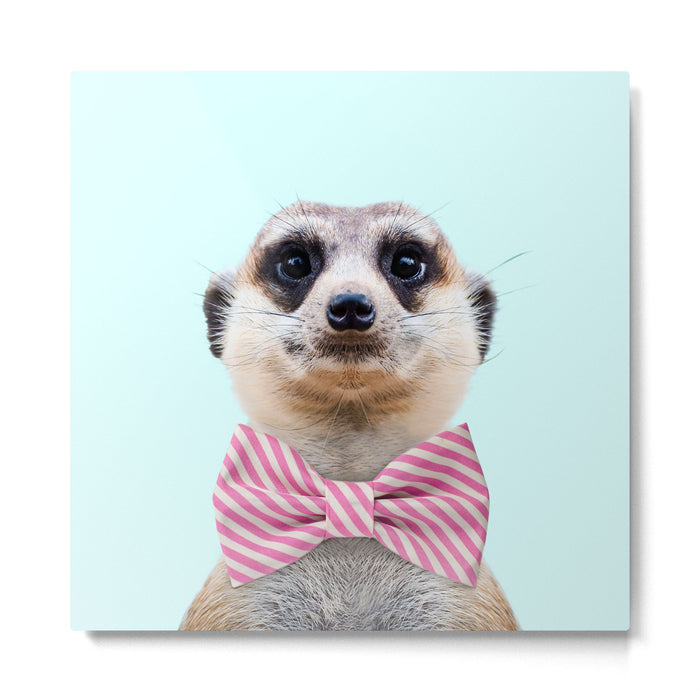MEERKAT Metal Print Gallery Image 1