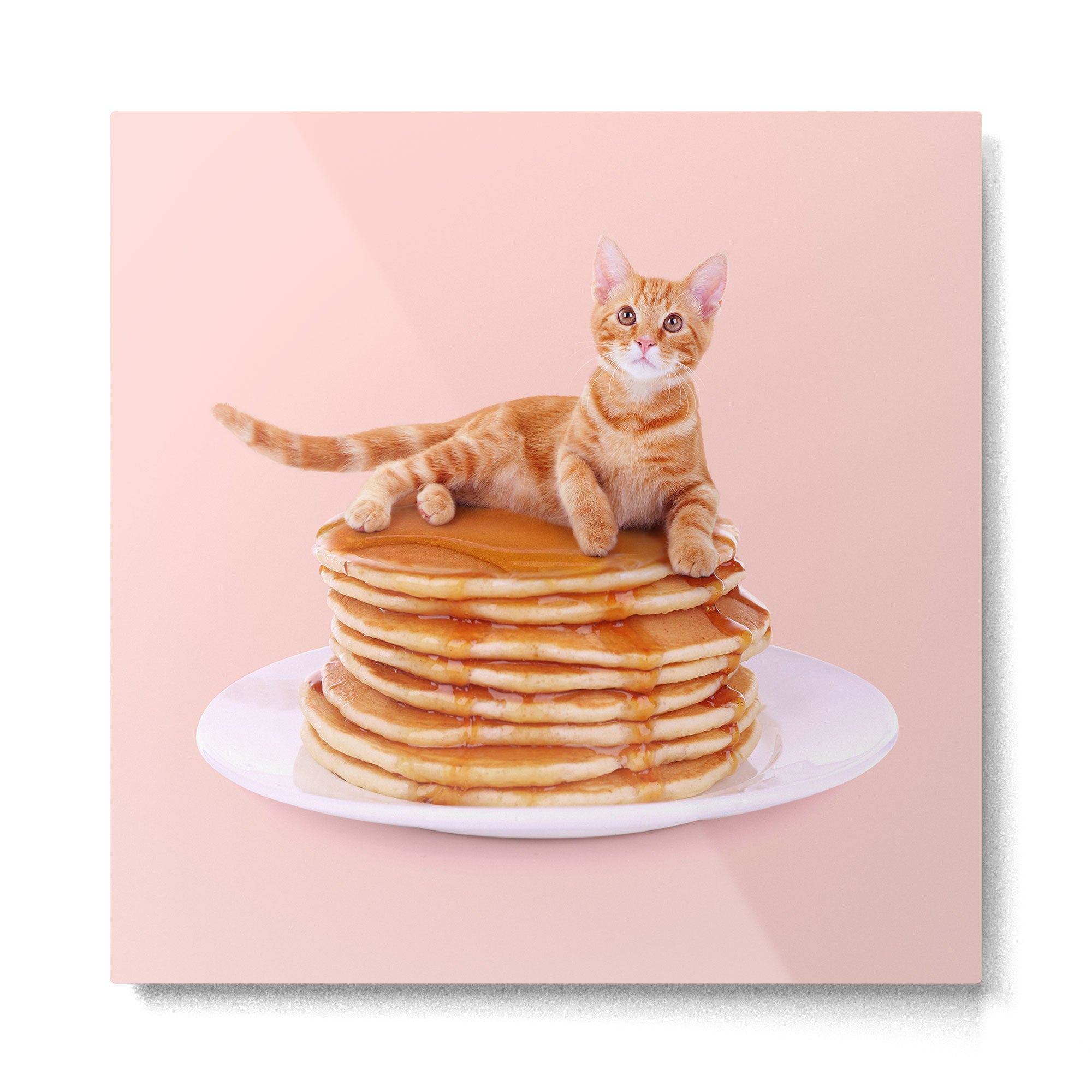MR. BUTTER Metal Print Gallery Image 2