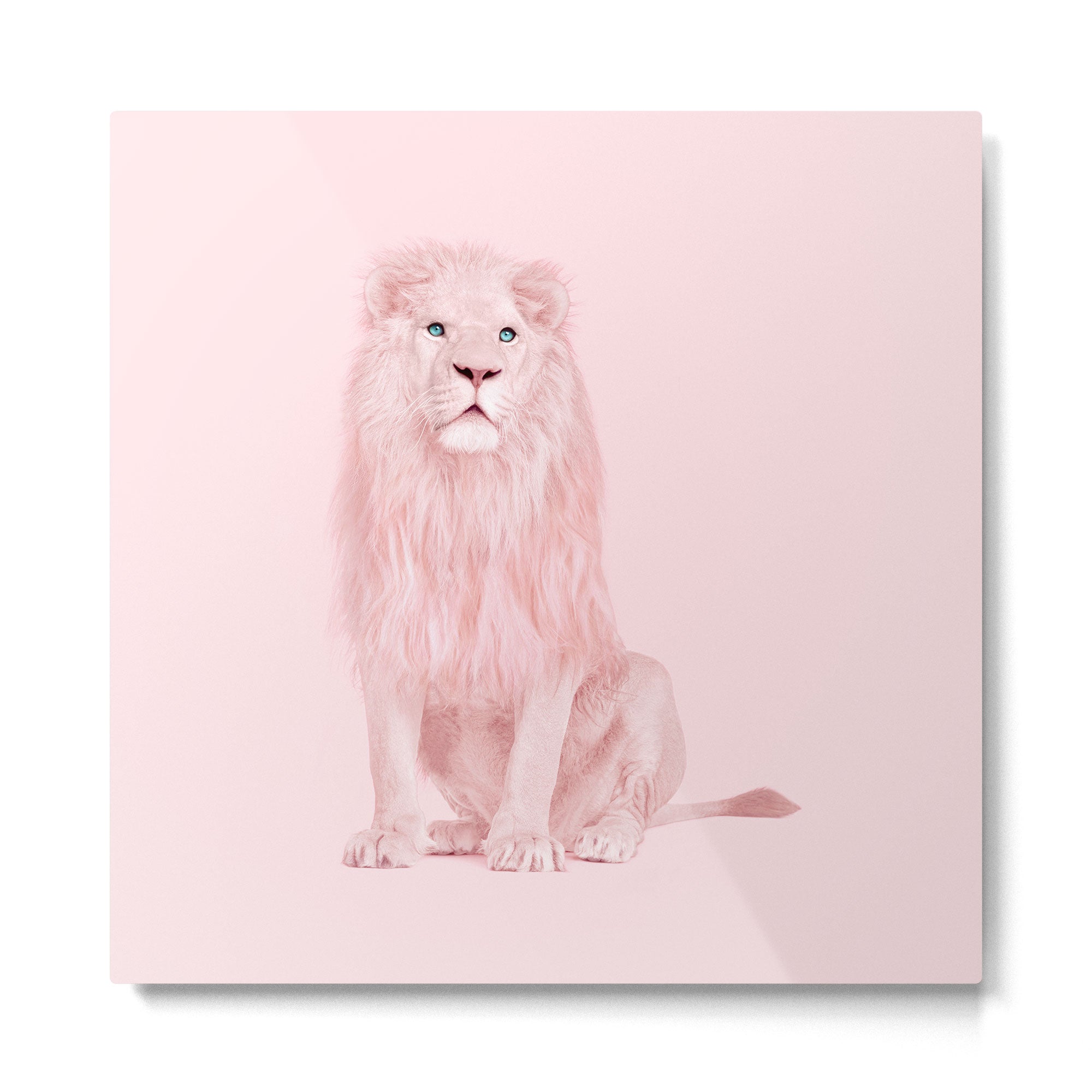 PINK LION Metal Print Gallery Image 2