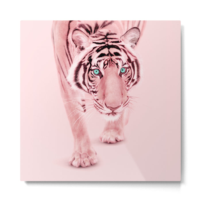 PINK TIGER Metal Print Gallery Image 1