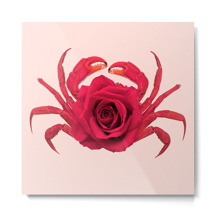 ROSE CRAB Metal Print Gallery Image 1