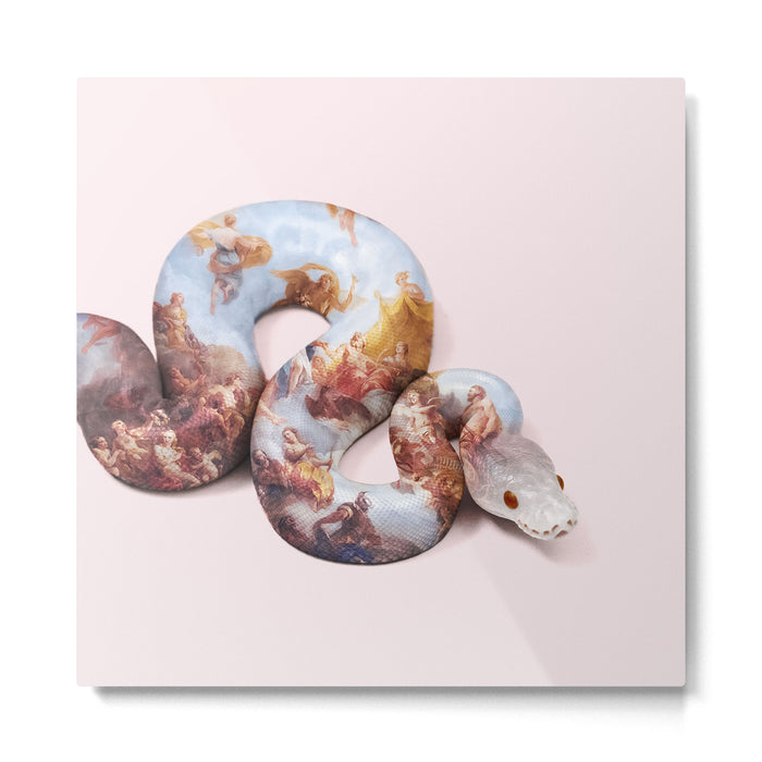 SNAKE PAINT Metal Print Gallery Image 1