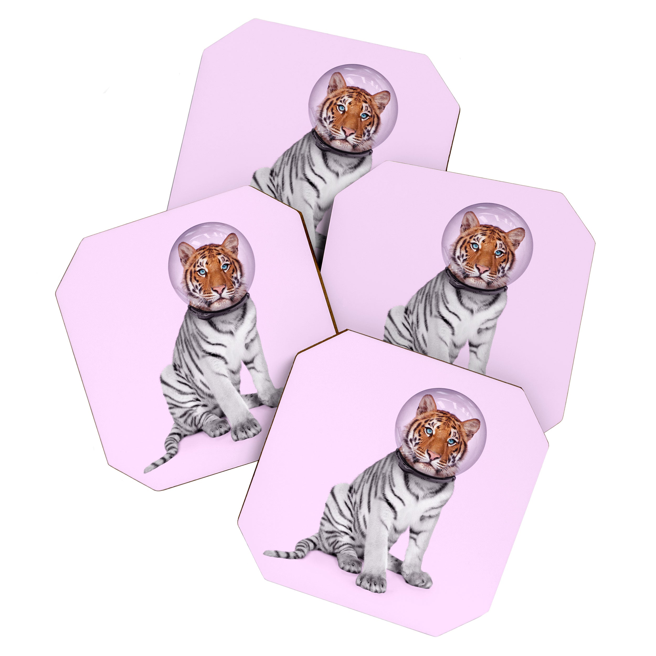 SPACE TIGER Coaster Gallery Image 1