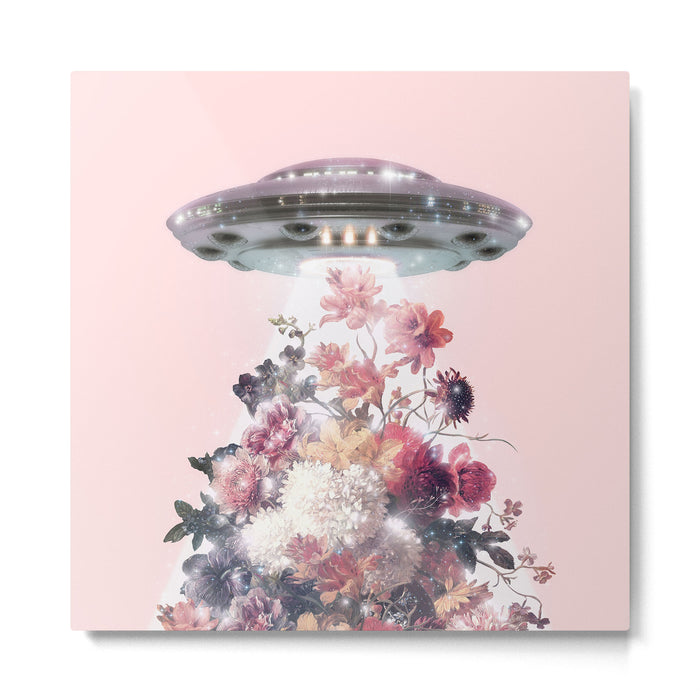 UFO Metal Print Gallery Image 1