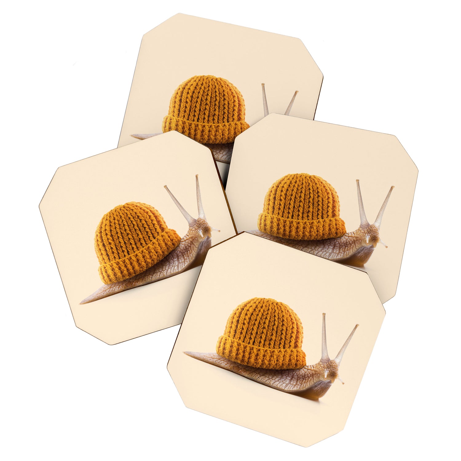 WINTER SNAIL Coaster Gallery Image 1