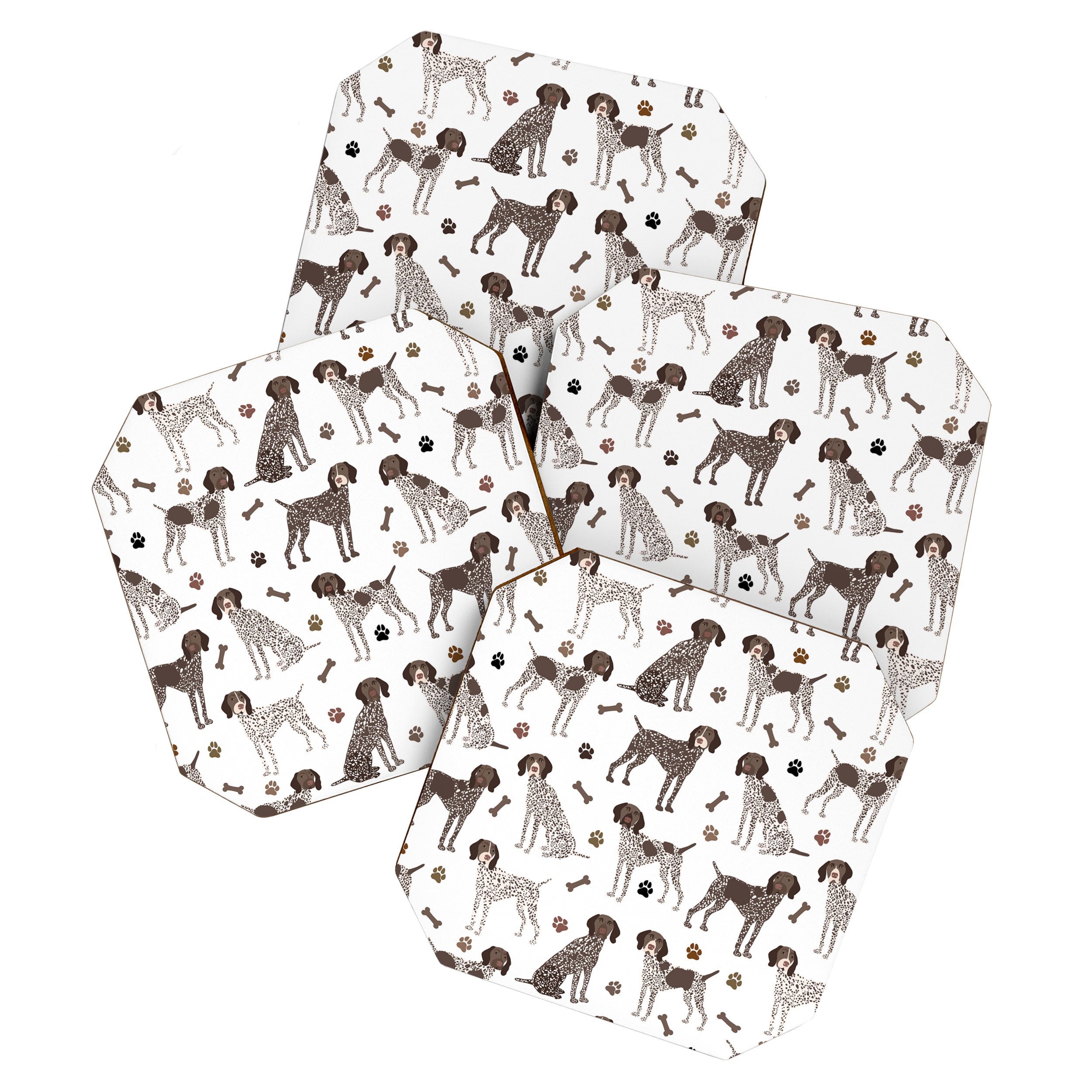 German Shorthaired Pointer Dog Paws and Bones White Coaster Gallery Image 1