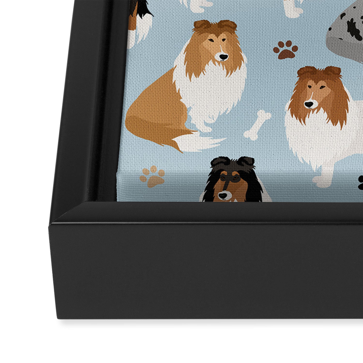 Rough Collie Dog Paws and Bones Pattern Framed Canvas Print Gallery Image 3