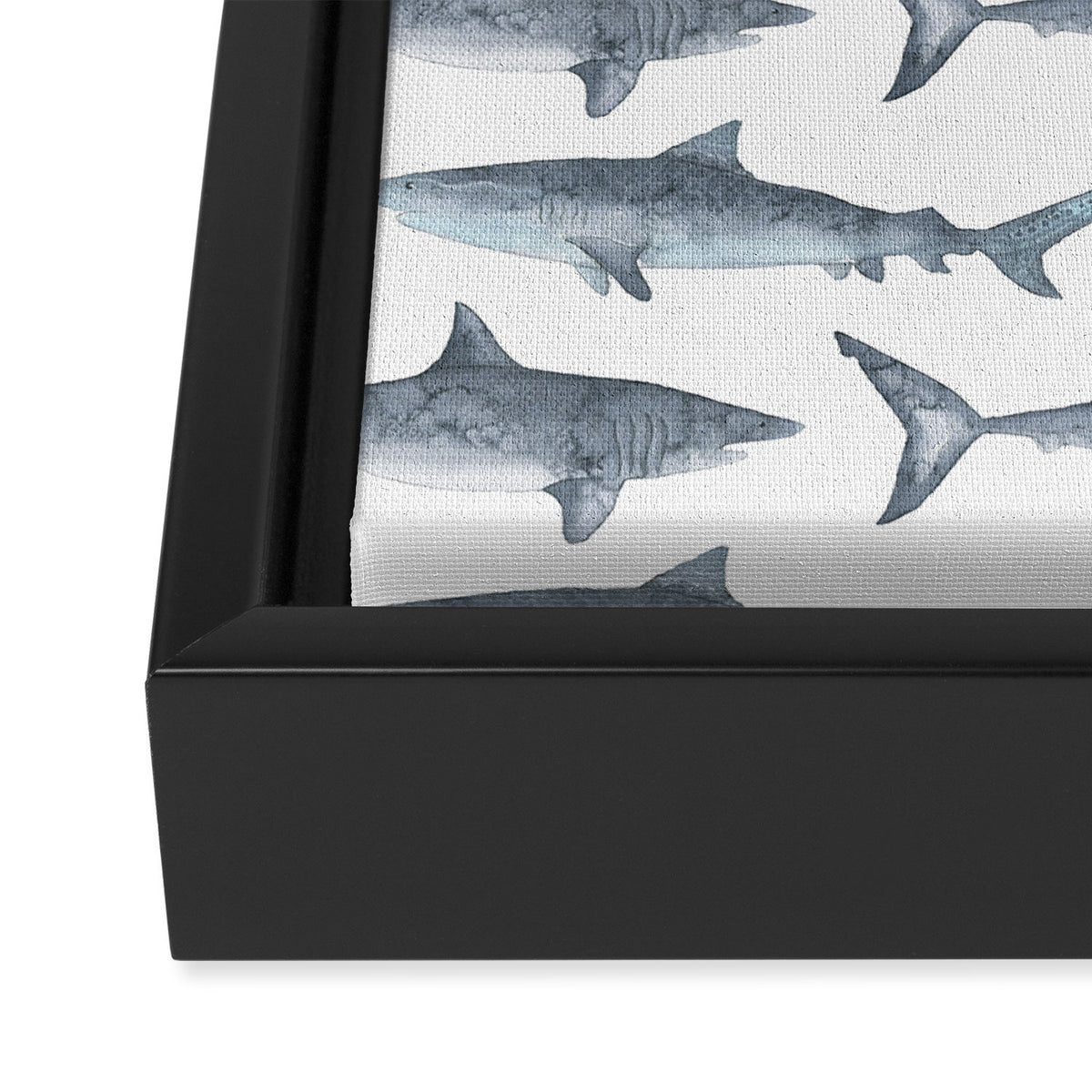 Sharks Framed Canvas Print Gallery Image 3