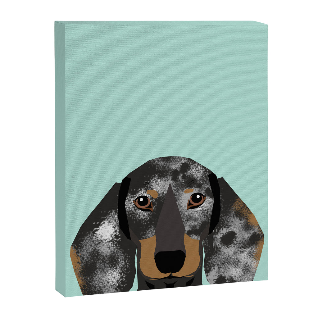 Doxie Dachshund merle dapple dog cute must have dog accessories dog gifts cute doxies dachshunds des Canvas Print Gallery Image 6