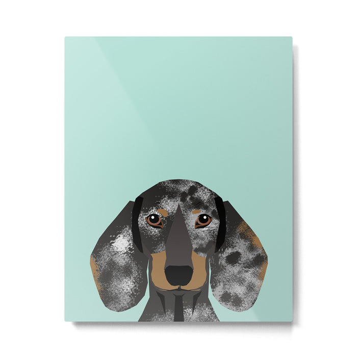 Doxie Dachshund merle dapple dog cute must have dog accessories dog gifts cute doxies dachshunds des Metal Print Gallery Image 1