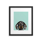 Doxie Dachshund merle dapple dog cute must have dog accessories dog gifts cute doxies dachshunds des Framed Art Print Gallery Image 5