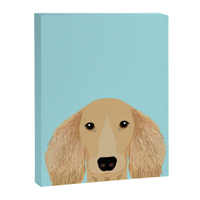 Long Haired Dachshund cream coat cute pet portraits custom dog breed art Canvas Print Gallery Image 1