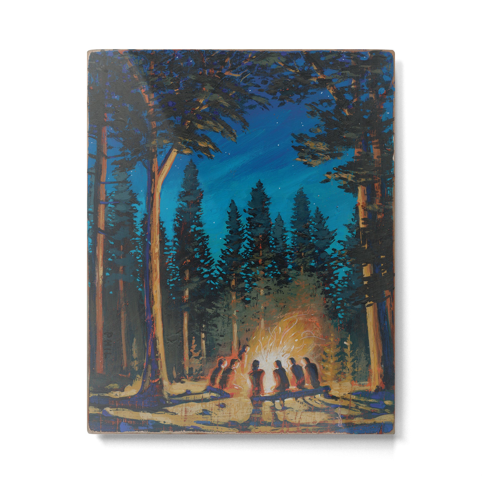 campfire gathering Metal Print Gallery Image 6