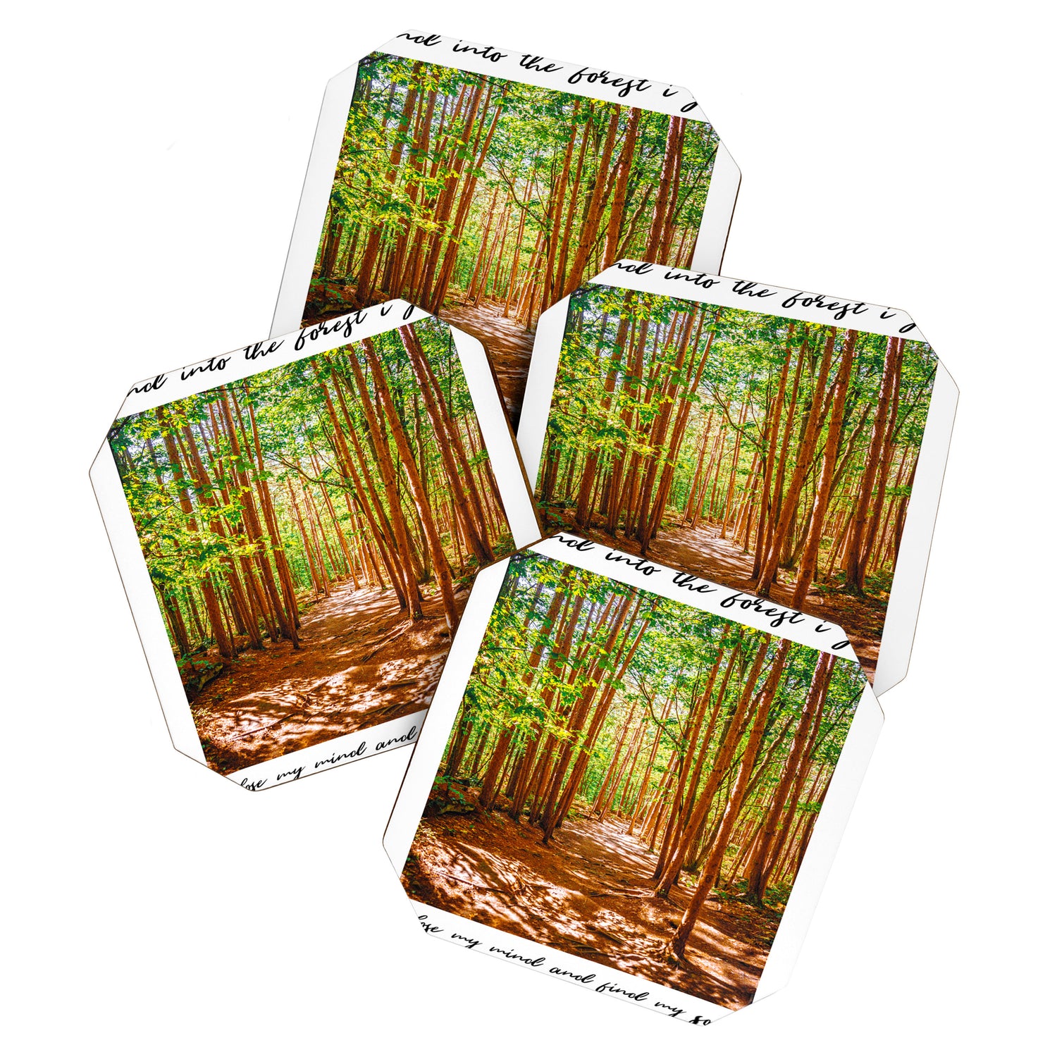 John Muir-And Into The Forest I Go To Lose My Mind And Find My Soul Coaster Gallery Image 1
