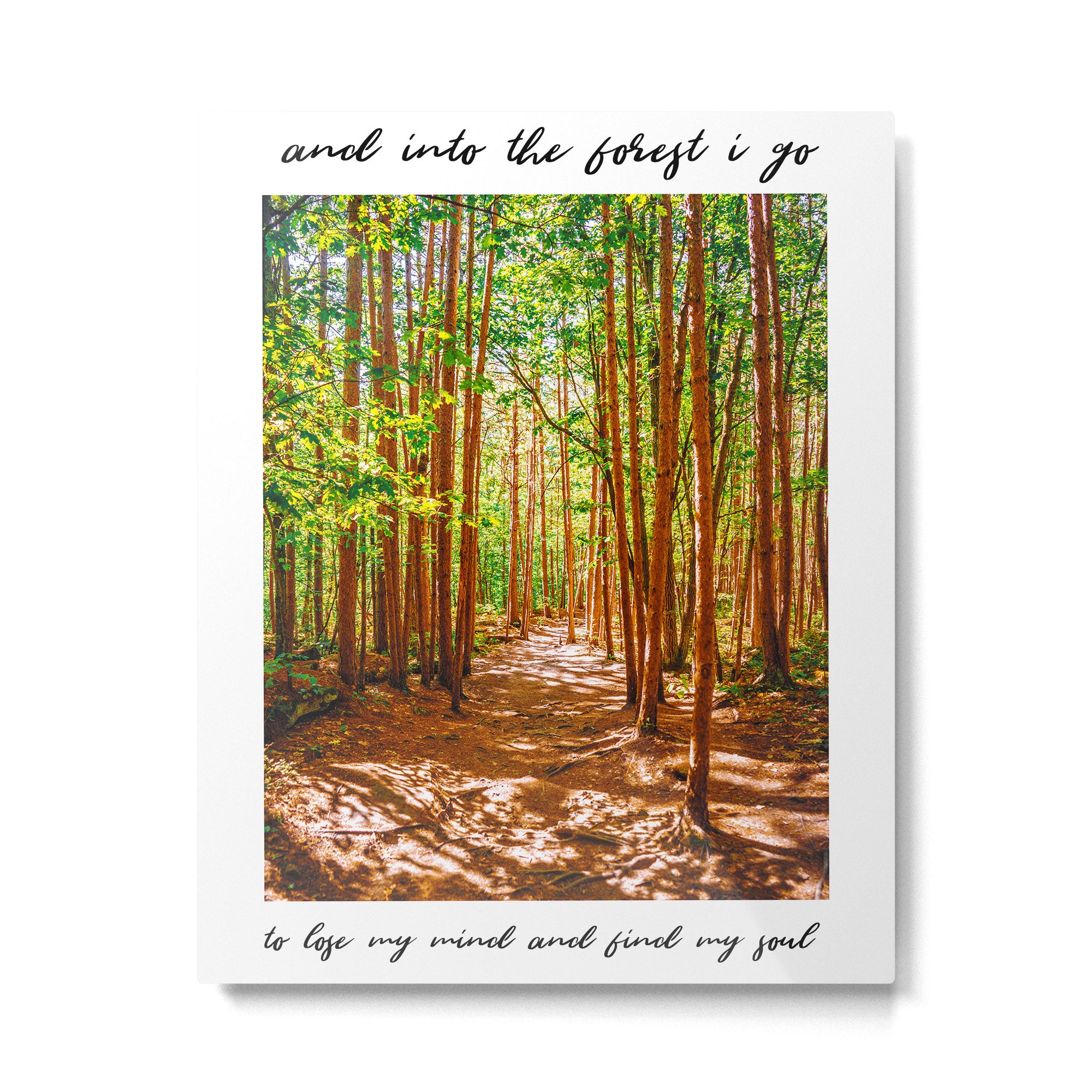 John Muir-And Into The Forest I Go To Lose My Mind And Find My Soul Metal Print Gallery Image 4