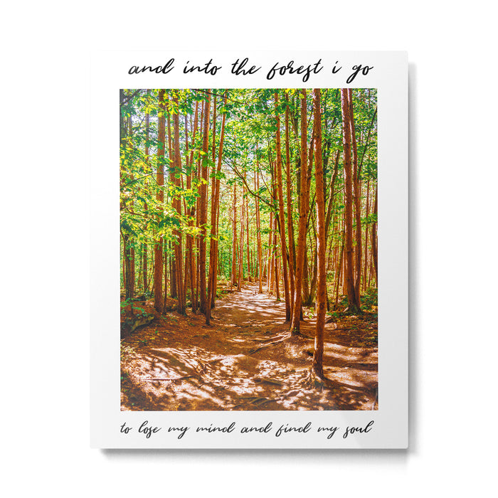 John Muir-And Into The Forest I Go To Lose My Mind And Find My Soul Metal Print Gallery Image 1