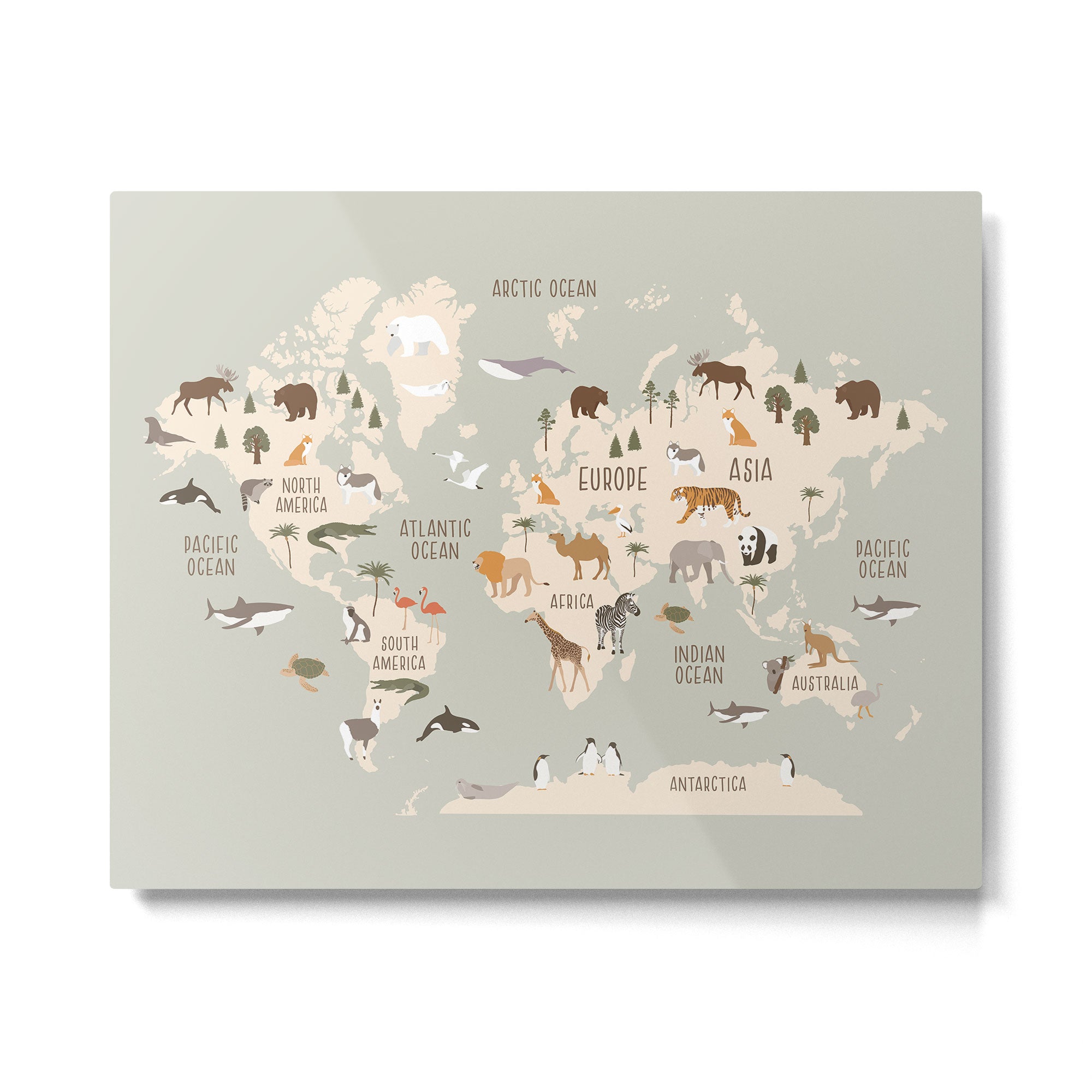 Kids world map with animals in green Metal Print Gallery Image 4